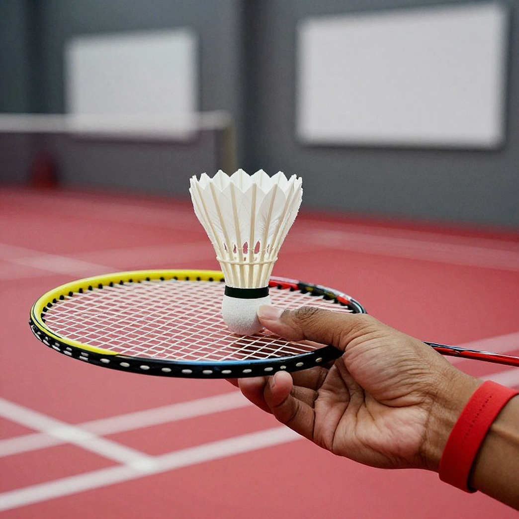 Sindhu gặp An Se Young ở chung kết Pháp Mở rộng 2026: 73 phút ở bán kết và mười lần chưa từng thắng